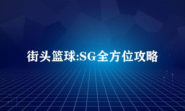 街头篮球:SG全方位攻略