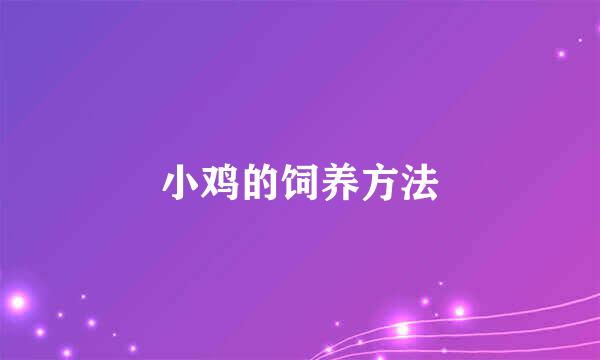 小鸡的饲养方法