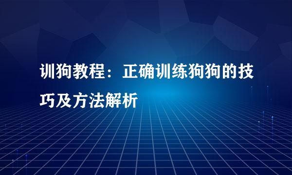 训狗教程：正确训练狗狗的技巧及方法解析