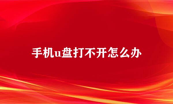 手机u盘打不开怎么办