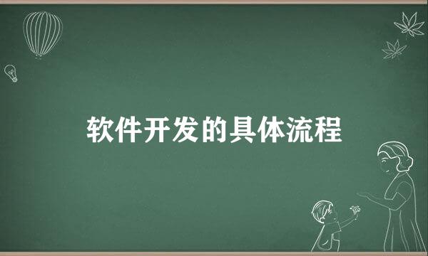 软件开发的具体流程