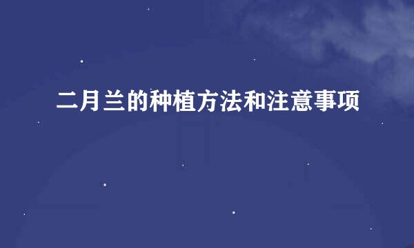 二月兰的种植方法和注意事项