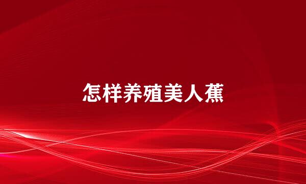 怎样养殖美人蕉