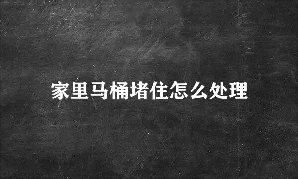 家里马桶堵住怎么处理