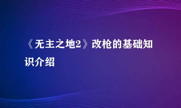 《无主之地2》改枪的基础知识介绍