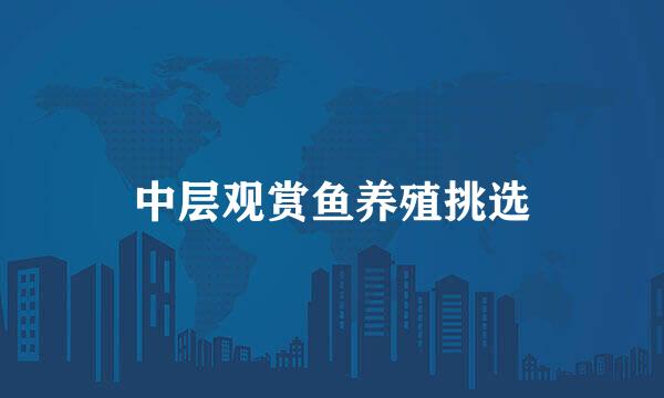 中层观赏鱼养殖挑选