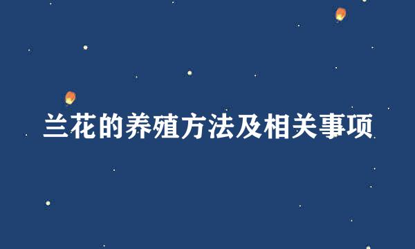 兰花的养殖方法及相关事项