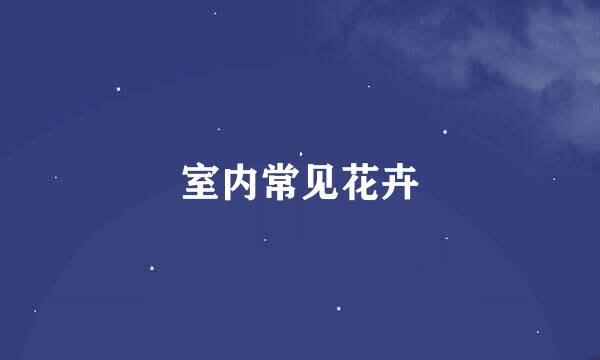 室内常见花卉
