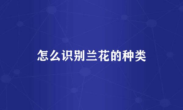 怎么识别兰花的种类