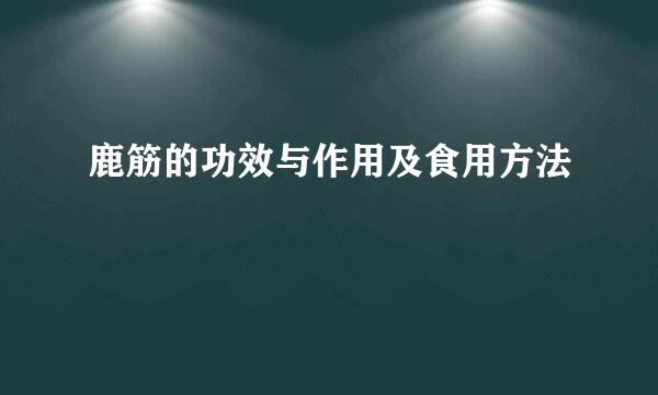 鹿筋的功效与作用及食用方法