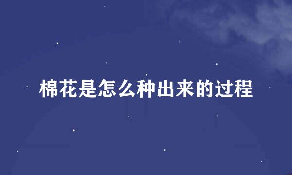 棉花是怎么种出来的过程