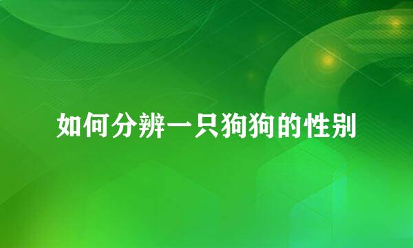 如何分辨一只狗狗的性别