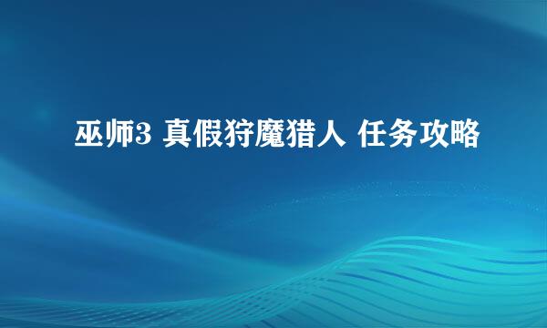 巫师3 真假狩魔猎人 任务攻略
