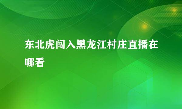 东北虎闯入黑龙江村庄直播在哪看