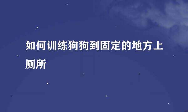 如何训练狗狗到固定的地方上厕所