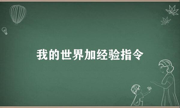 我的世界加经验指令