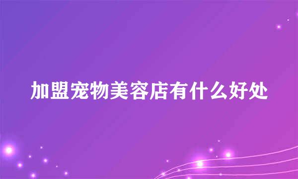加盟宠物美容店有什么好处
