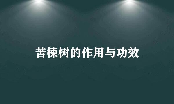 苦楝树的作用与功效