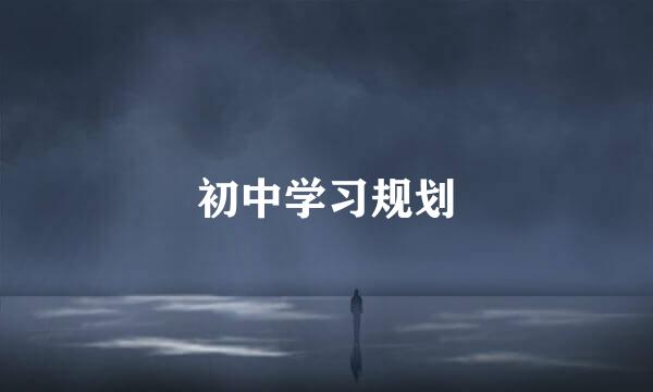 初中学习规划