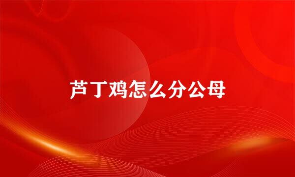 芦丁鸡怎么分公母