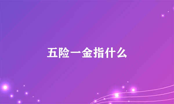 五险一金指什么