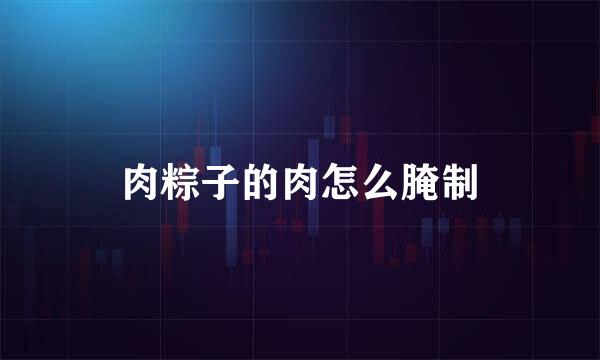 肉粽子的肉怎么腌制