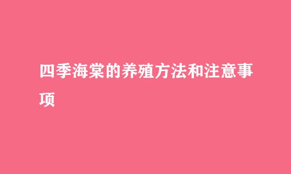 四季海棠的养殖方法和注意事项