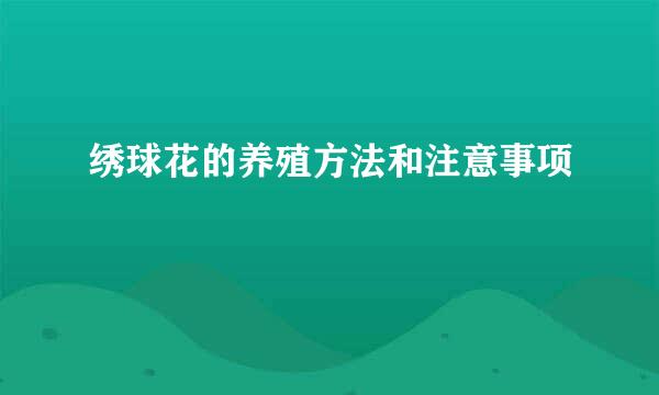 绣球花的养殖方法和注意事项