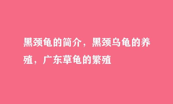 黑颈龟的简介，黑颈乌龟的养殖，广东草龟的繁殖