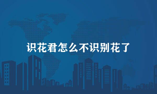 识花君怎么不识别花了