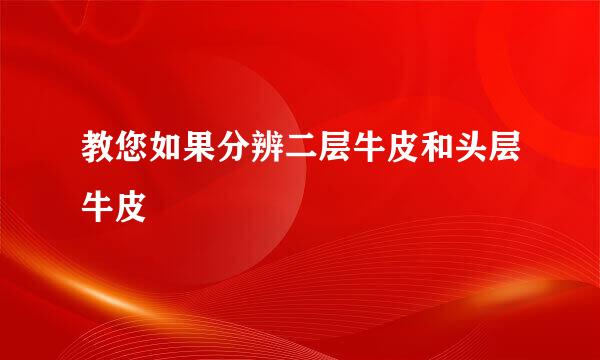 教您如果分辨二层牛皮和头层牛皮