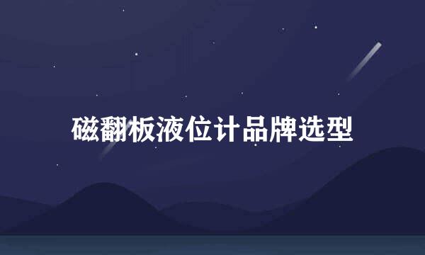 磁翻板液位计品牌选型