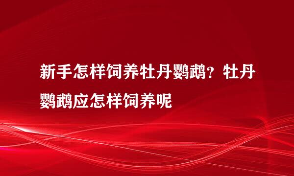 新手怎样饲养牡丹鹦鹉？牡丹鹦鹉应怎样饲养呢