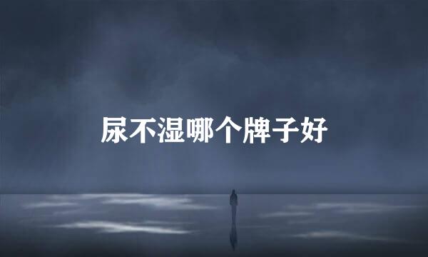 尿不湿哪个牌子好