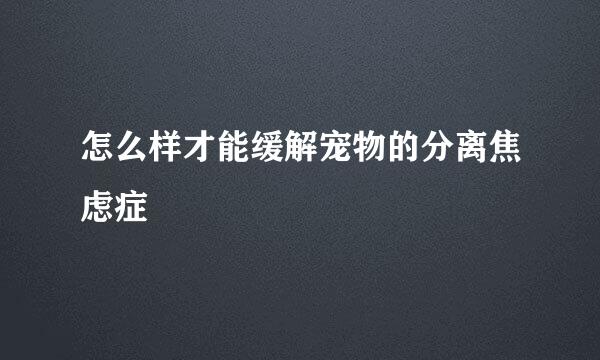 怎么样才能缓解宠物的分离焦虑症