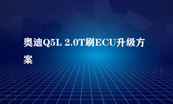 奥迪Q5L 2.0T刷ECU升级方案