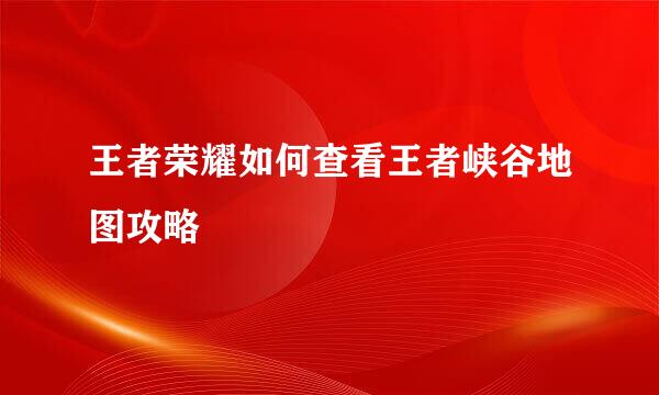 王者荣耀如何查看王者峡谷地图攻略