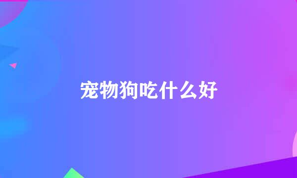 宠物狗吃什么好