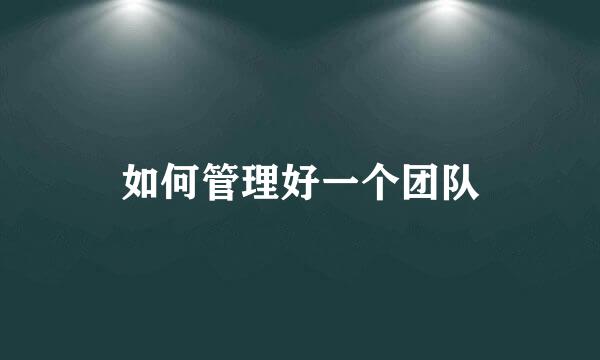 如何管理好一个团队