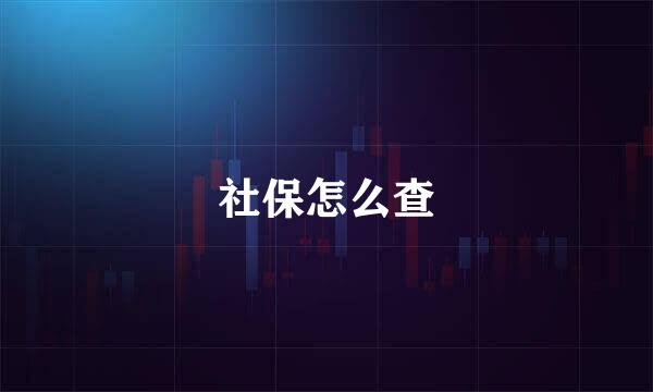 社保怎么查