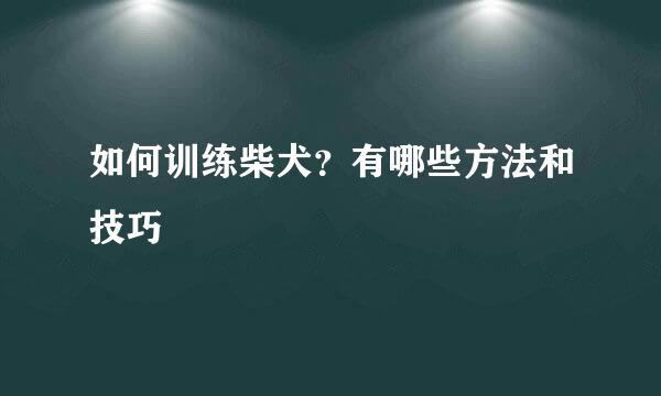 如何训练柴犬？有哪些方法和技巧