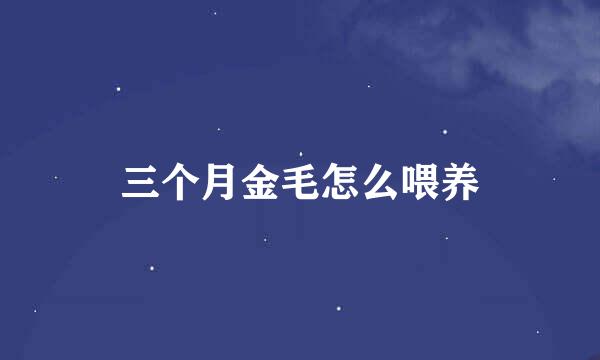 三个月金毛怎么喂养