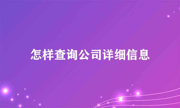 怎样查询公司详细信息