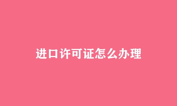 进口许可证怎么办理