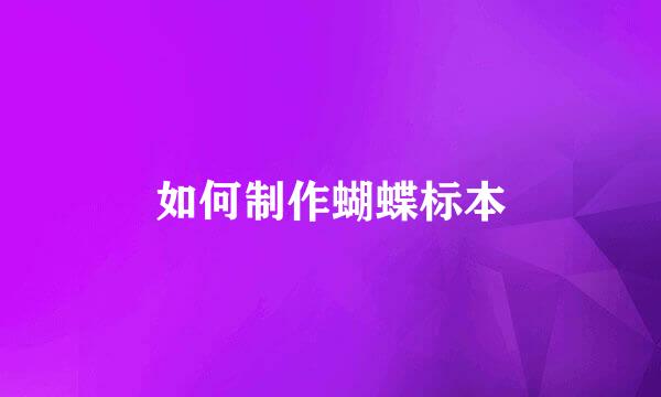 如何制作蝴蝶标本