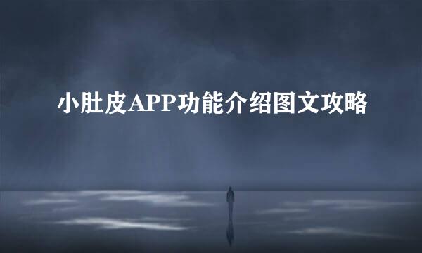 小肚皮APP功能介绍图文攻略