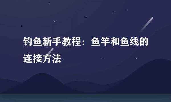 钓鱼新手教程：鱼竿和鱼线的连接方法