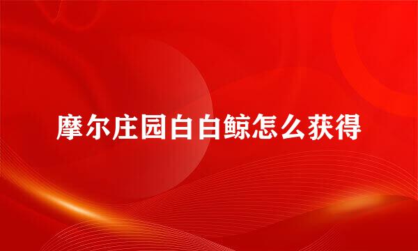 摩尔庄园白白鲸怎么获得