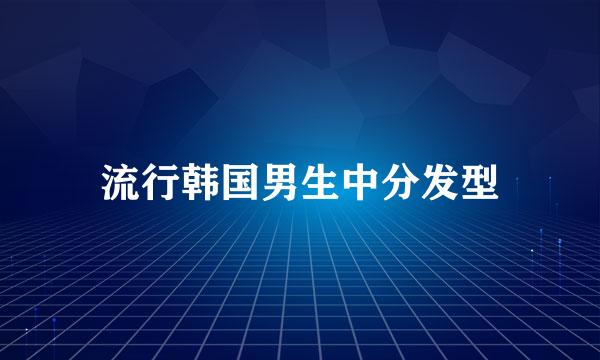 流行韩国男生中分发型