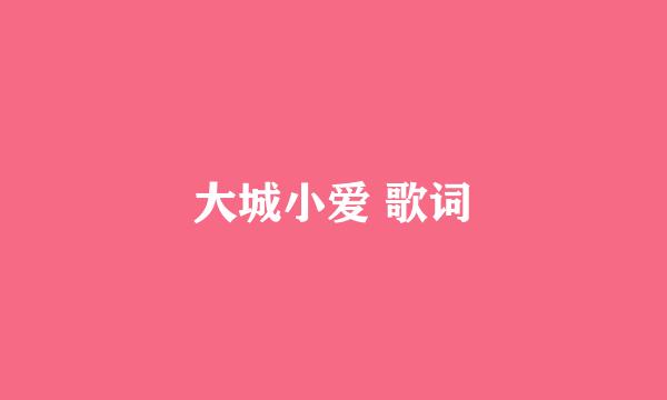 大城小爱 歌词